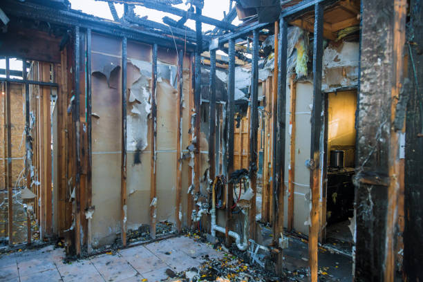 Professional Fire Damage Repair technician working in Roodhouse, IL